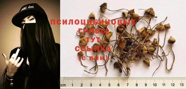 прущие крисы Баксан